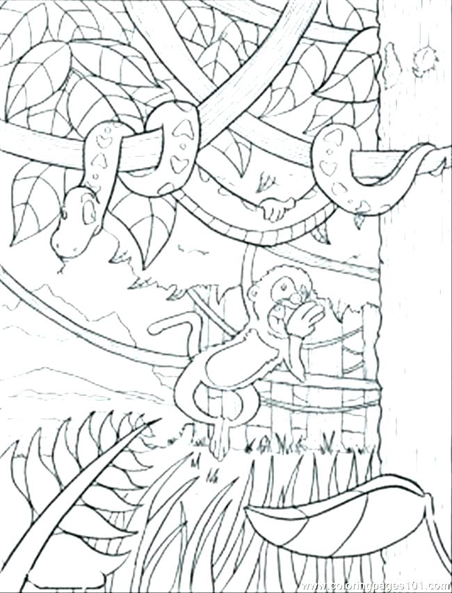 650x852 Rainforest Coloring Sheet