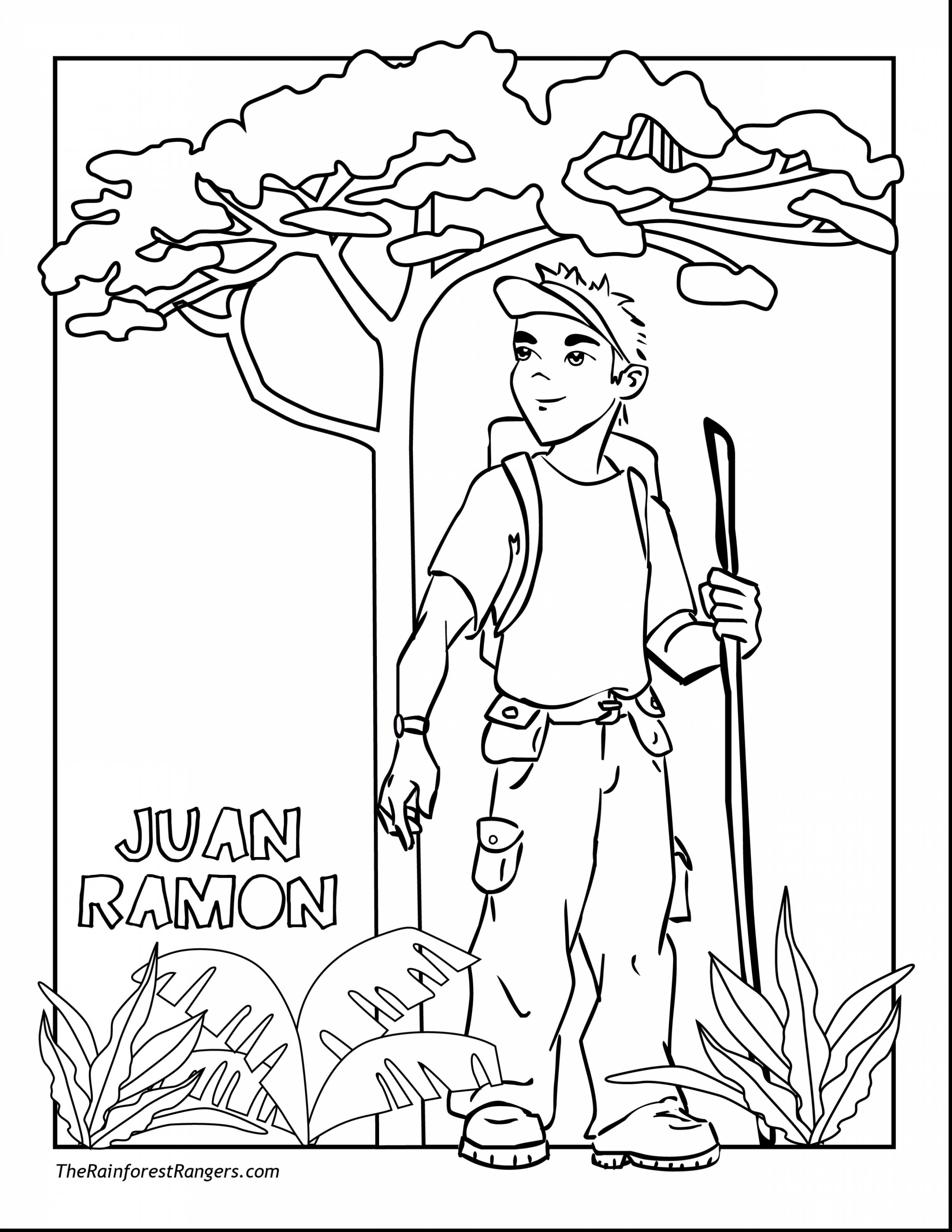 2805x3630 Best Of New Rainforest Coloring Pages To Print