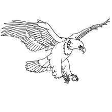 220x220 Eagle Printable