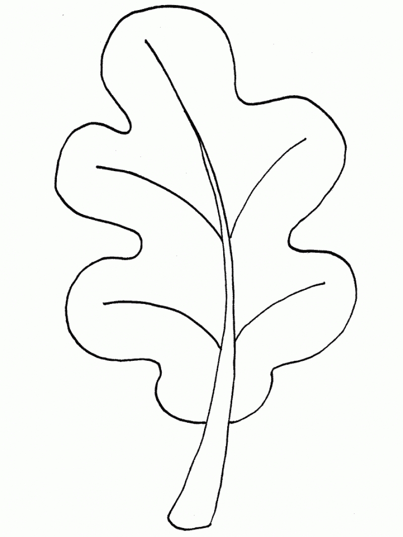 800x1067 Imagination Fall Leaves Coloring Sheets Leaf P