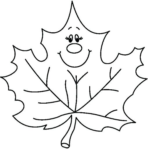 509x512 Leaf Color Pages This Page Has Lots Of Leaves To Color Free