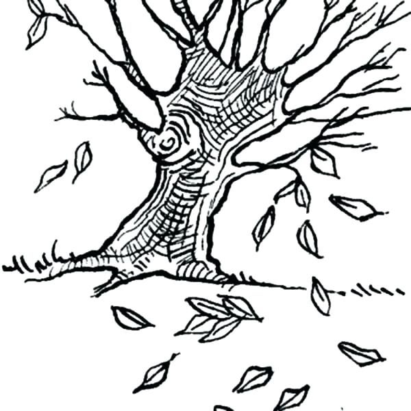 600x600 Autumn Leaf Coloring Pages Fall Themed Coloring Pages Fall Leaf