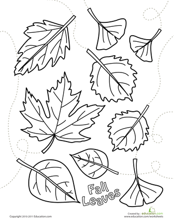 350x439 Autumn Leaves Coloring Page Worksheets, Autumn And Leaves
