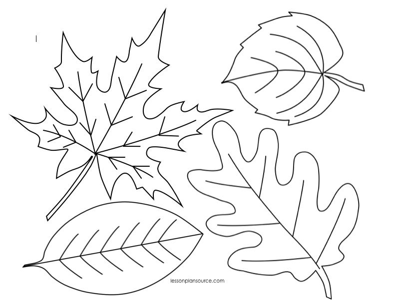 791x611 Autumn Leaves Coloring Page Preschool Leaves Coloring Page