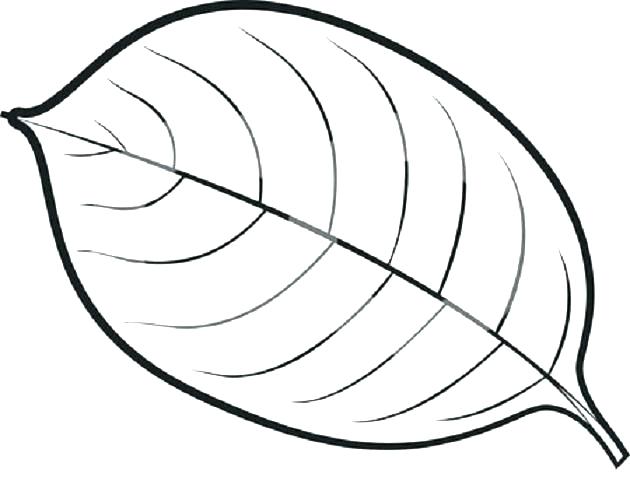 630x493 Color Pages Online Leaf Coloring Pages For Preschool Leaf Color