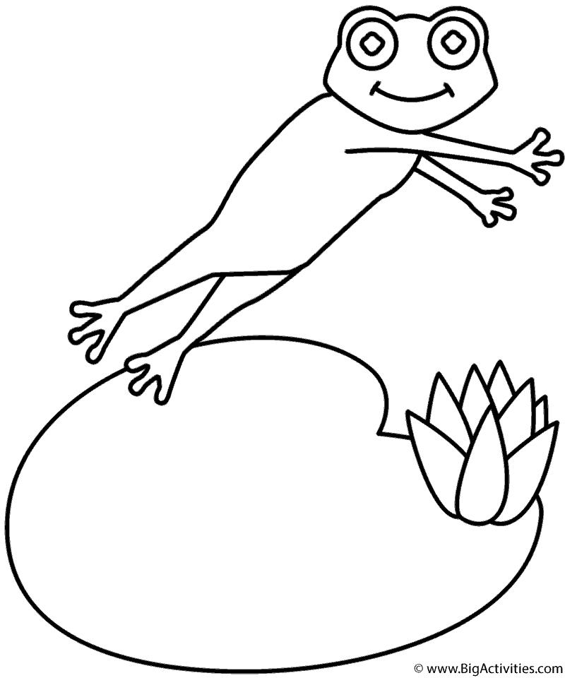 800x960 Frog And Lily Pad