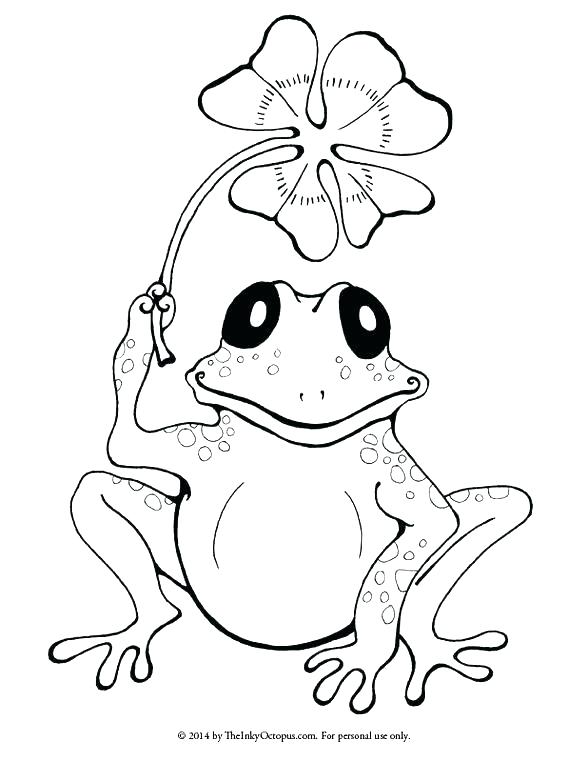 588x762 Frog Coloring Pages Free Leapfrog Baby Animal Coloring Pages