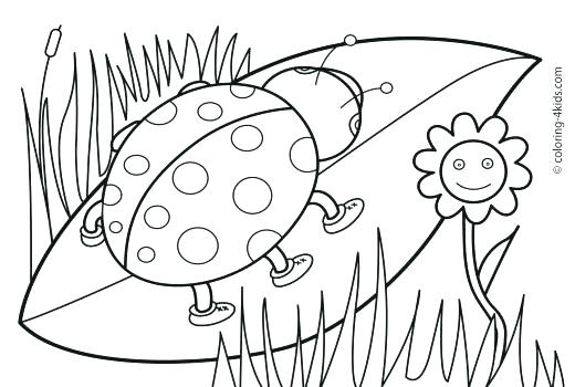 520x350 Coloring Worksheets Kindergarten Color Coloring Worksheets