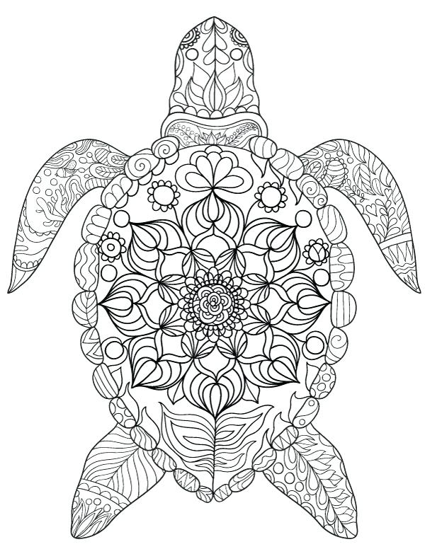 600x776 Sea Turtle Coloring Pages To Print Free Printable Sea Turtle Adult
