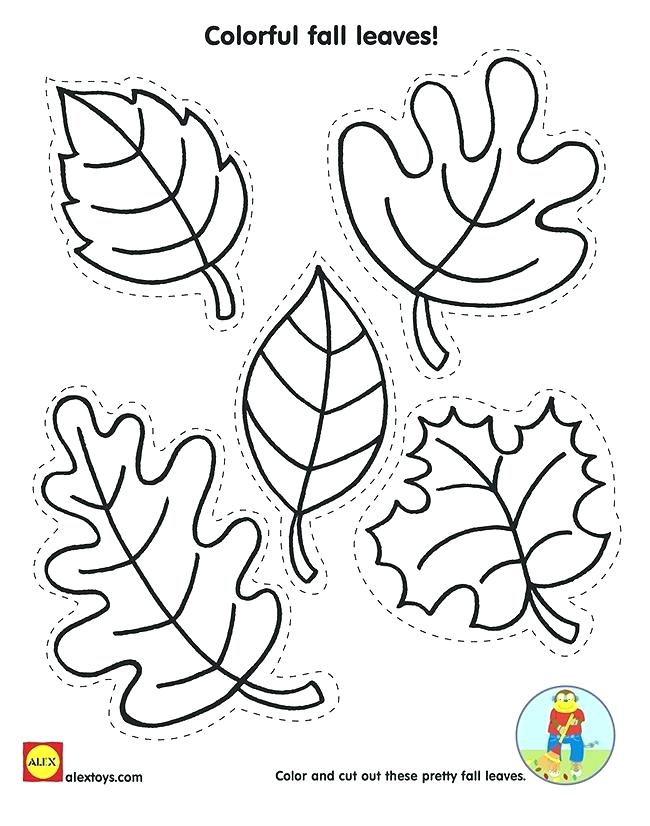 650x826 Printable Leaves Coloring Pages
