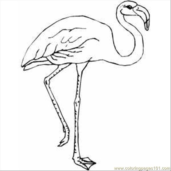 Leg Coloring Page