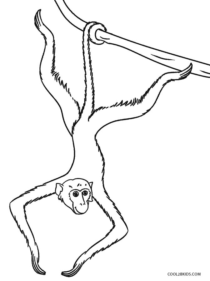 672x900 Free Printable Monkey Coloring Pages For Kids Cool2bkids