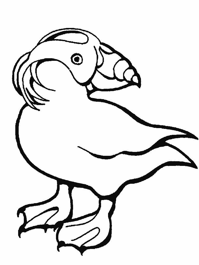 768x1024 Awesome Puffin Coloring Page Collection Printable Coloring Sheet