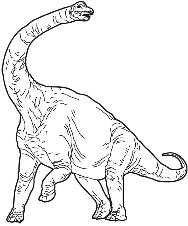 600x719 Brachiosaurus Coloring Page Angry Lifting One Leg Coloring Page