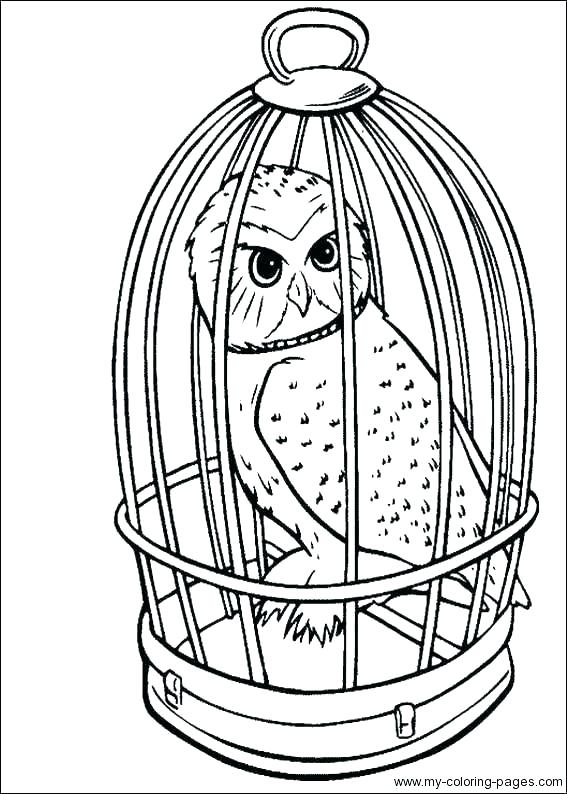 567x794 Lego Harry Potter Coloring Pages Shippa.co