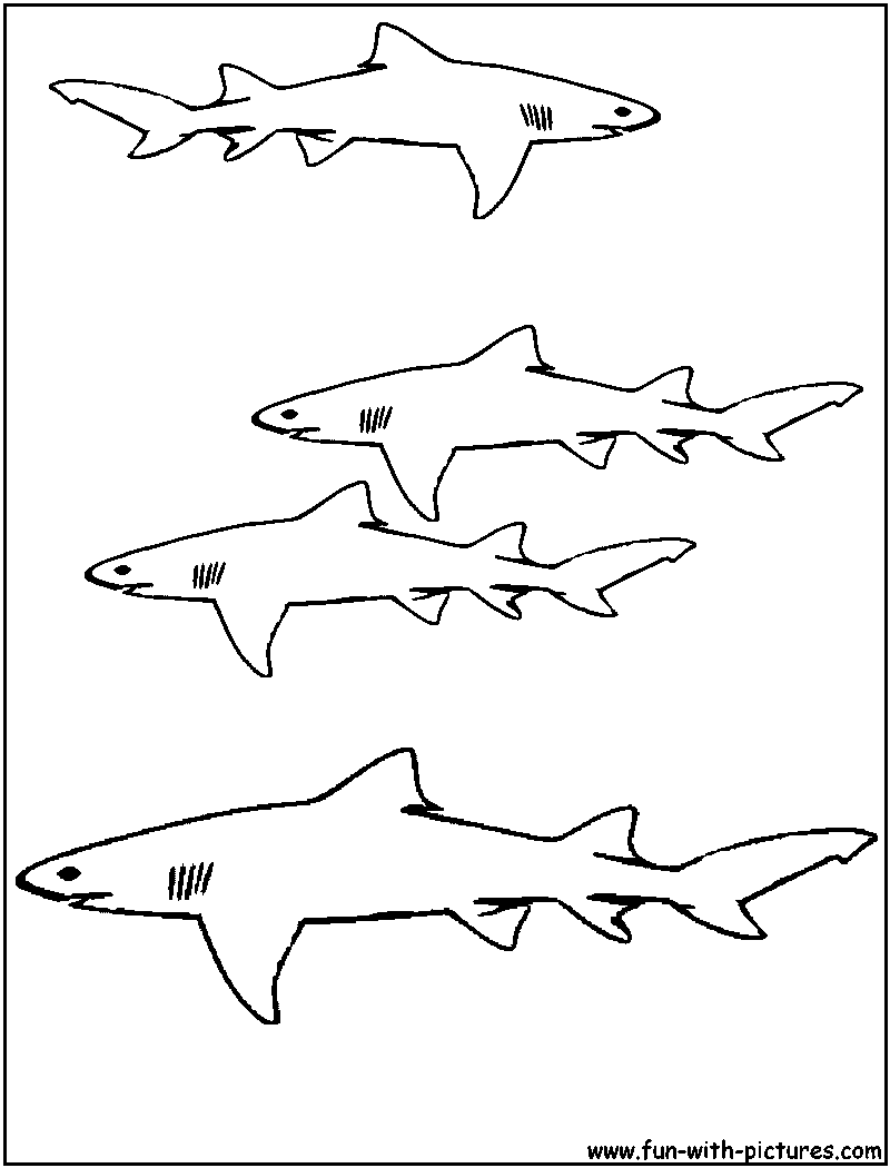 800x1050 Lemon Shark Coloring Page