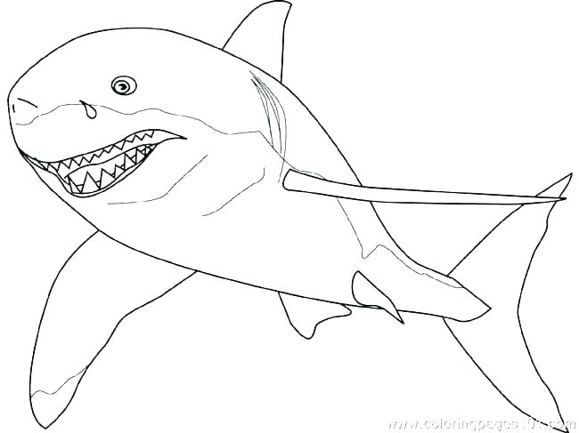 650x487 Shark To Color Scary Sharp Jaws Coloring Pages Shark Coloring