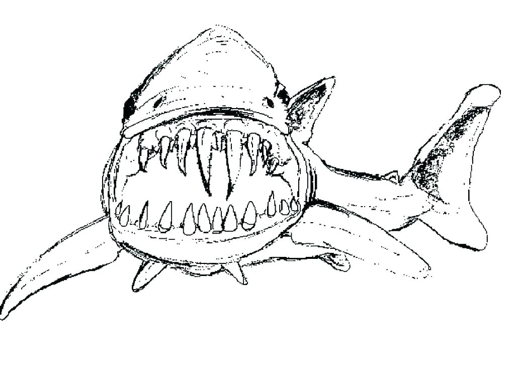 1024x740 Coloring Pages Online Flowers Printable Jaws 2 Book Goblin Shark