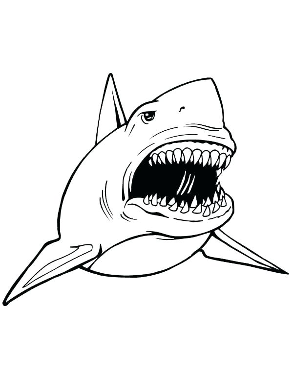 600x776 Goblin Shark Stock Vector Lemon Coloring Page 123 Marvellous Jaws