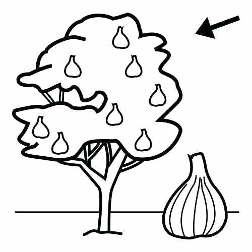 500x500 Lemon Coloring Page Orange Coloring Page Source Pages Lemonade