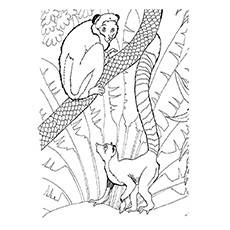 Lemur Coloring Page