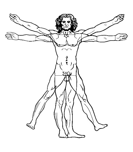 536x611 Leonardo Da Vinci