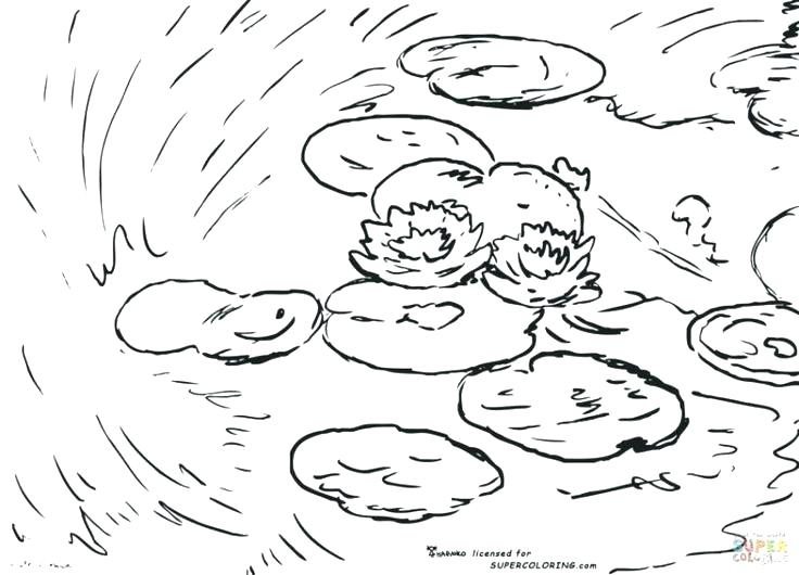 736x530 Marvelous Leonardo Da Vinci Coloring Pages Coloring Page Coloring