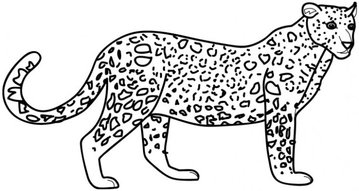 700x373 Leopard Coloring Pages