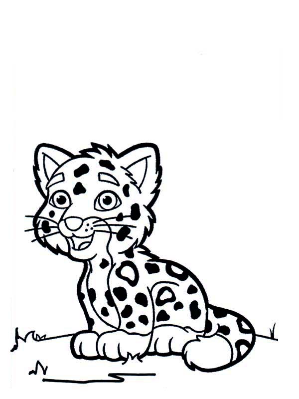 600x800 Cute Leopard Coloring Pages Preschool For Cure Pict Cartoon