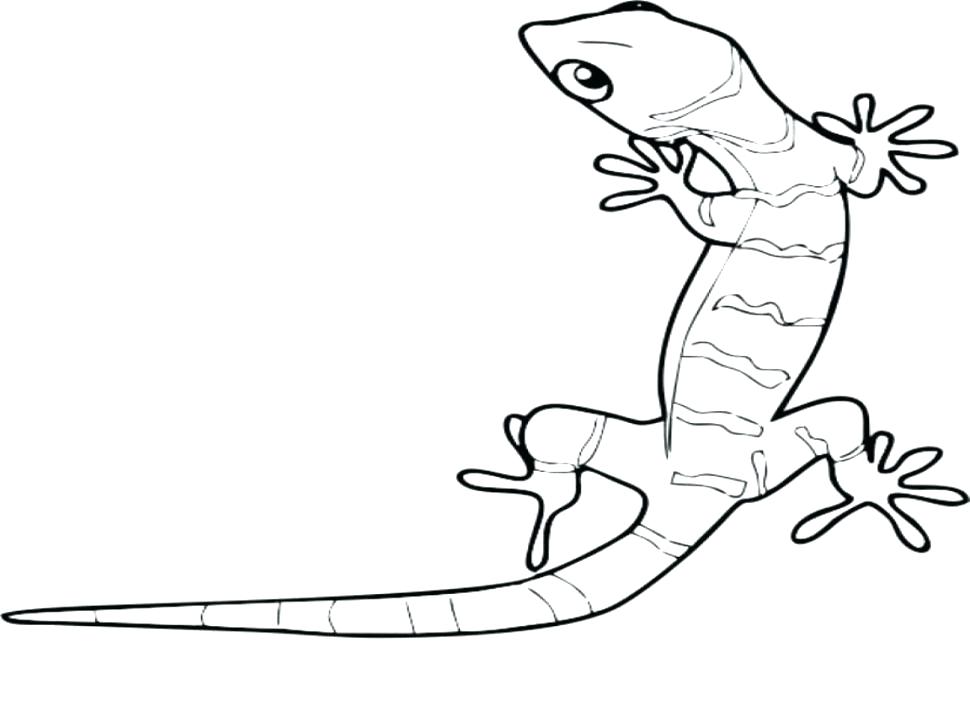 970x728 Gecko Coloring Page Leopard Coloring Pages Leopard Sitting