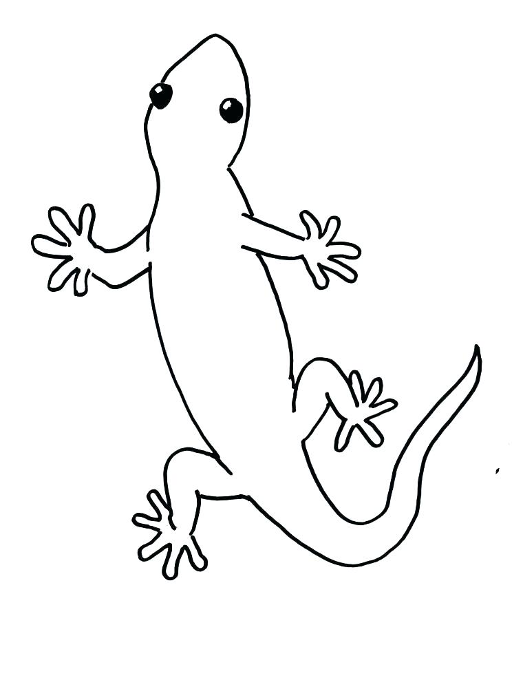 760x985 Gecko Coloring Page Leopard Gecko Coloring Sheet Gecko Coloring