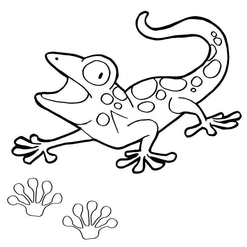 800x800 Gecko Coloring Pages Leopard Gecko Colouring Pages Page 2 Gecko