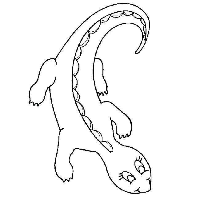 650x650 Bearded Dragon Coloring Page Leopard Gecko Coloring Pages Gecko