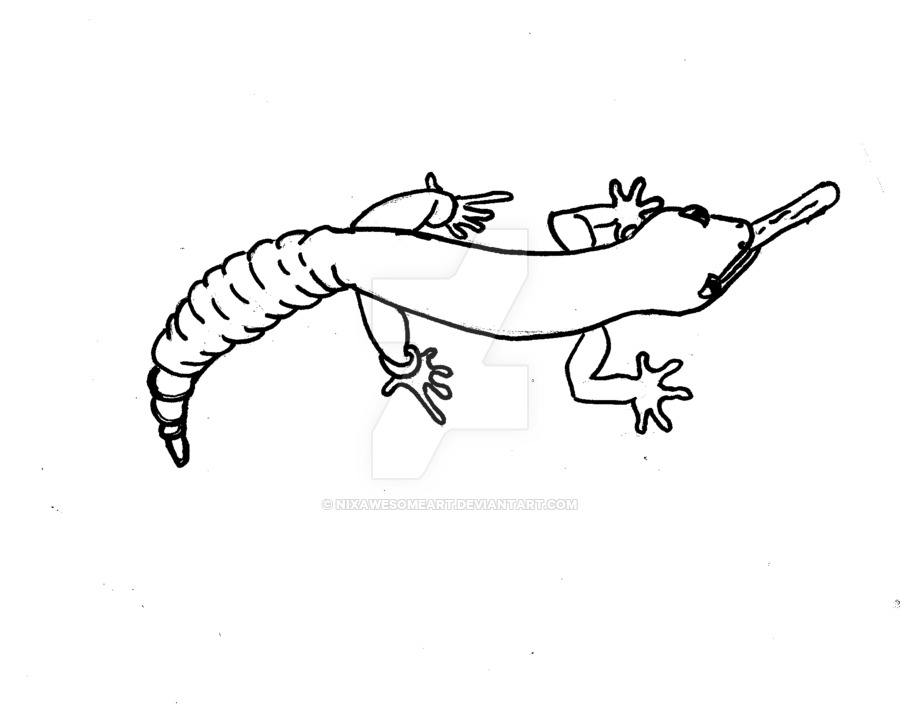 900x708 Leopard Gecko Coloring Page By Nixawesomeart