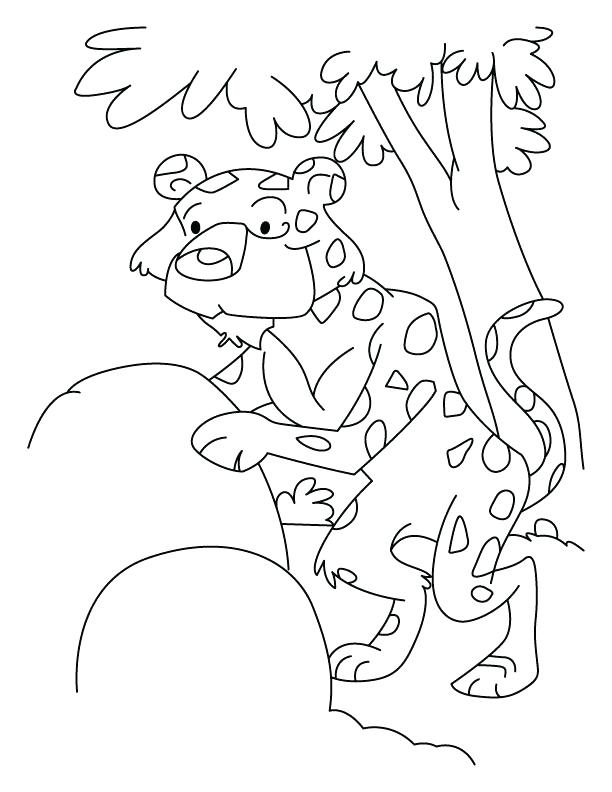 612x792 Coloring Enchanting Leopard Gecko Coloring Pages Leopard Gecko Pin
