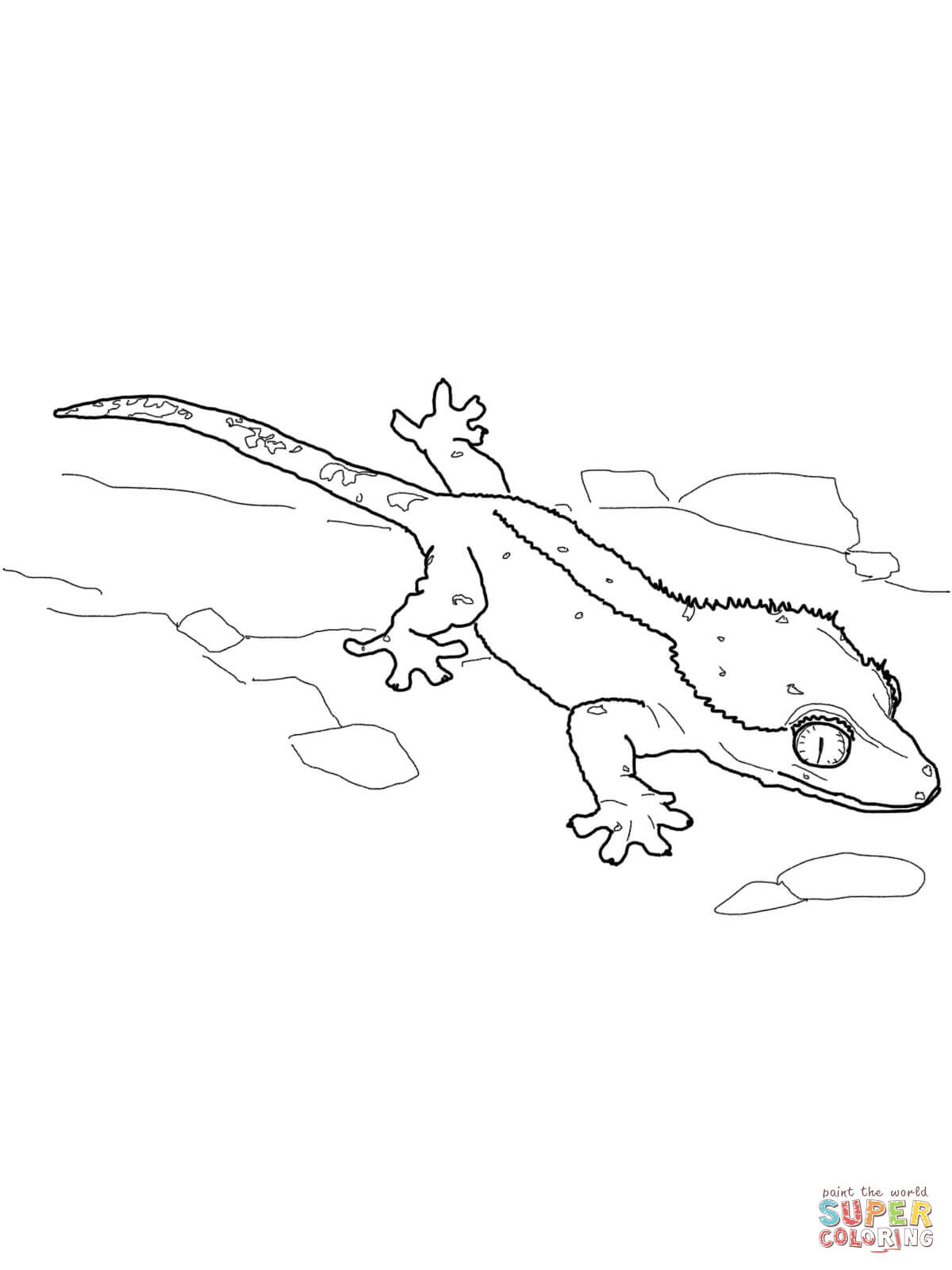 1200x1600 Leopard Gecko Coloring Page Free Printable Coloring Pages Leopard