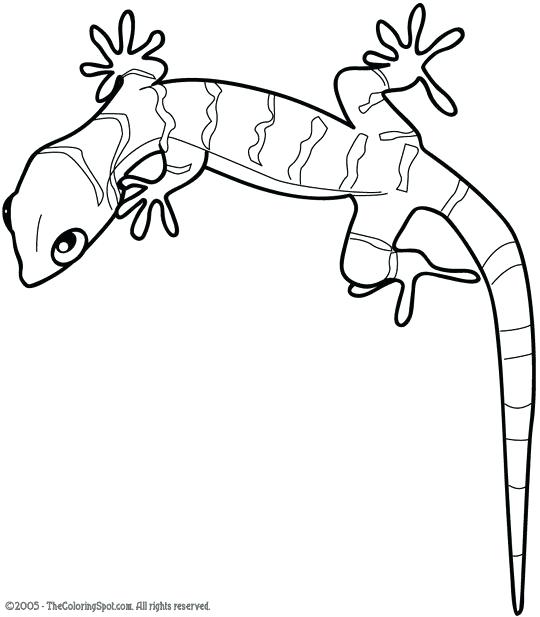 540x617 Gecko Coloring Page Coloring Page A Gecko Lizard Leopard Gecko
