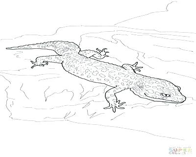 400x322 Gecko Coloring Page Gecko Coloring Page Coloring Trend Thumbnail