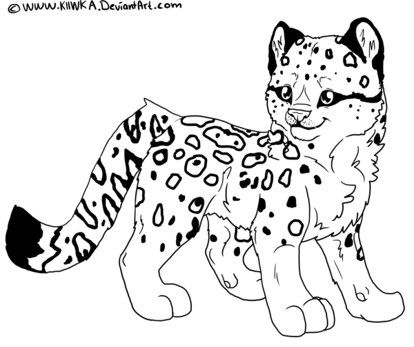 600x503 Leopard