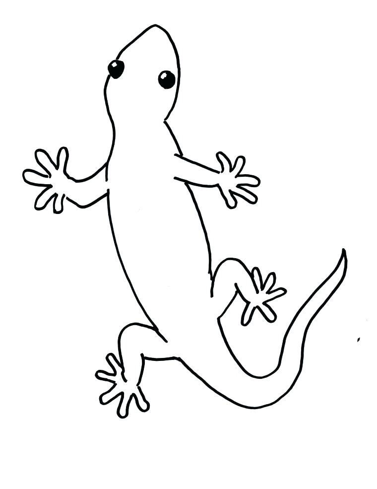 760x985 Leopard Gecko Coloring Pages Gecko Coloring Pages Draw A Step By