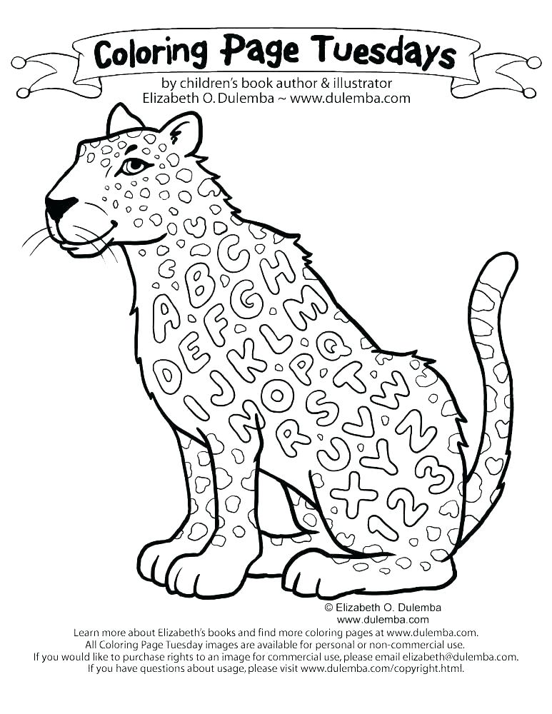 773x1000 Seal Coloring Pages
