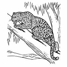 230x230 Top 25 Free Printable Leopard Coloring Pages Online