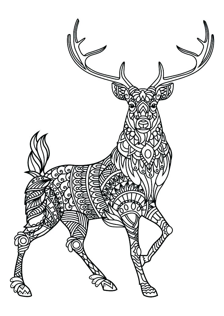 736x1040 Animal Print Coloring Pages Animal Print Coloring Pages Hard