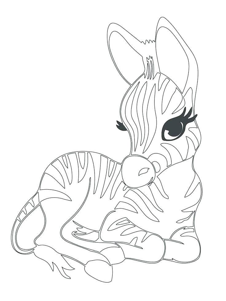 736x981 Cheetah Print Coloring Pages Cheetah Print Coloring Pages Leopard