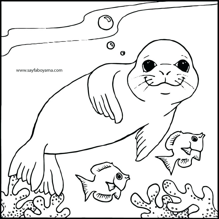 863x863 Leopard Seal Coloring Pages Leopard Seal Sketch 8 Coloring Pages