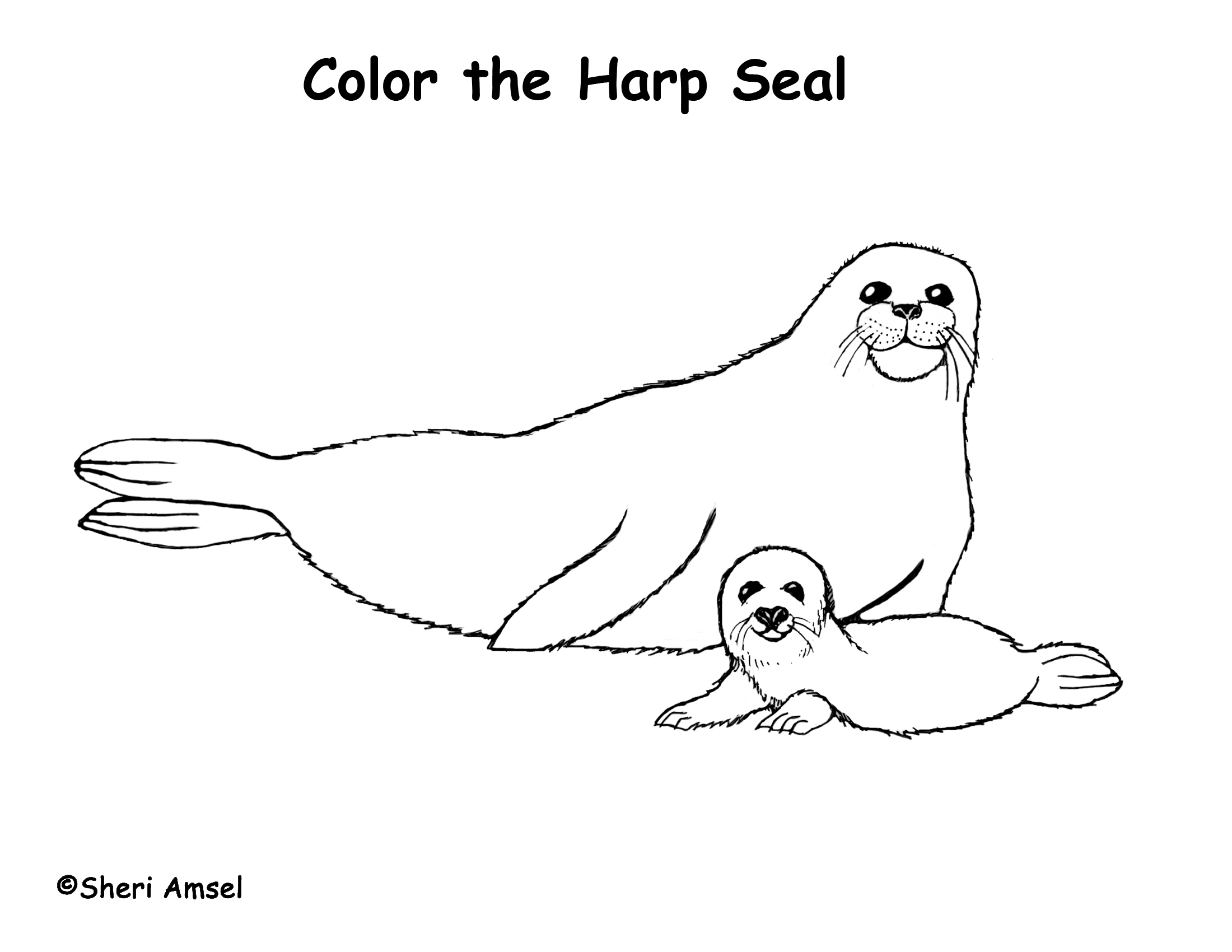2200x1700 Seal Coloring Pages Printable Coloring Pages