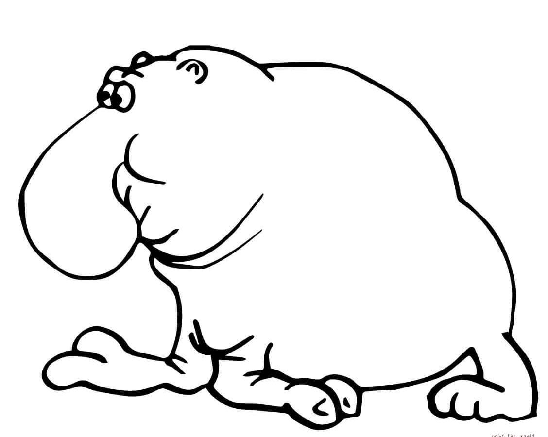 1128x900 Baby Seal Coloring Pages For Kids Free Harp Incredible General
