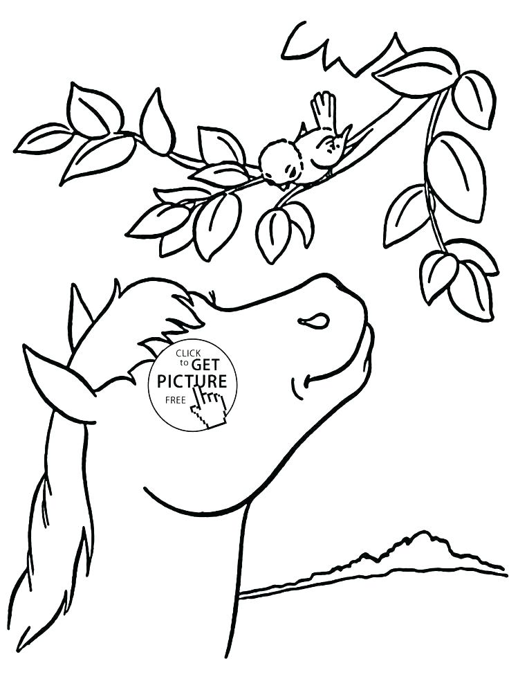 736x994 Coloring Pages Online Games Animal Coloring Pages Online Leopard