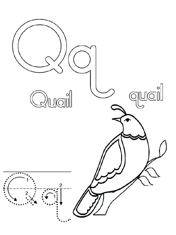 600x799 Good Letter I Coloring Pages For Preschool Or Letter D Coloring Es