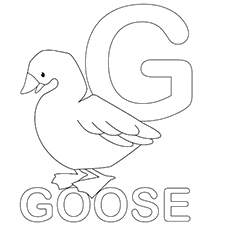 230x230 Top 25 Free Printable Letter G Coloring Pages Online